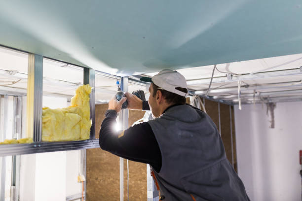 Best DIY Insulation Kits and Guidance in White Sulphur Springs, WV